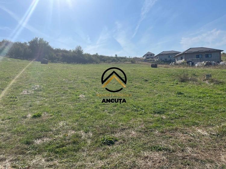 Teren agricol intravilan de 2900 mp, în Chinteni
