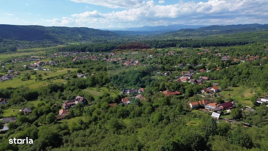 Casa de vanzare in natura la tara - Mihaesti - 14