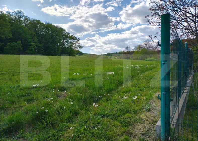 Teren de 3000 mp, în Remetea