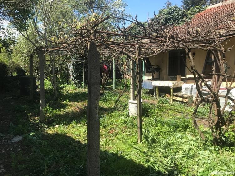 Teren de 719 mp, în Fratelia