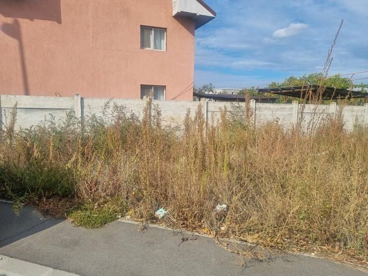 Spațiu comercial, în Rovine