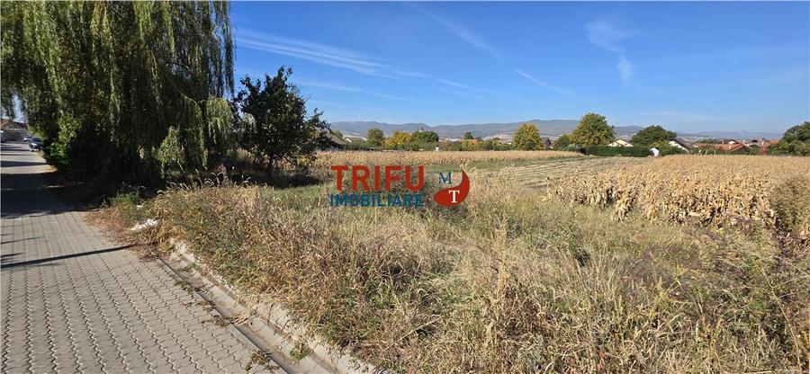 Teren Construcții intravilan de 2097 mp, în Ampoi 1