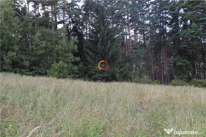 Teren în Poiana Angelescu