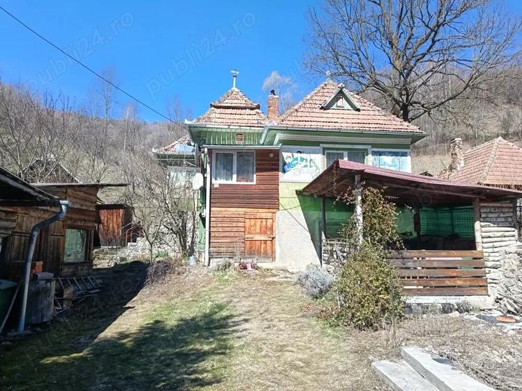 Casă cu 3 camere în Muntele Băișorii