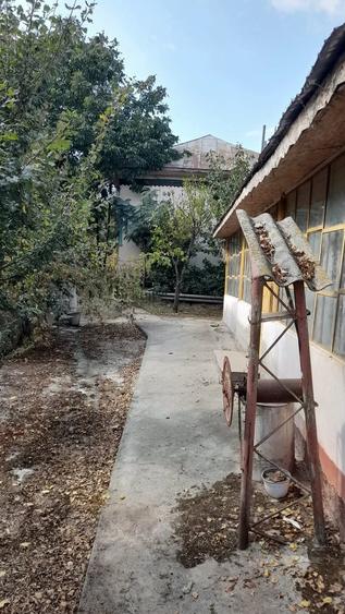 Casă cu Teren 3000 Mp în Vânători