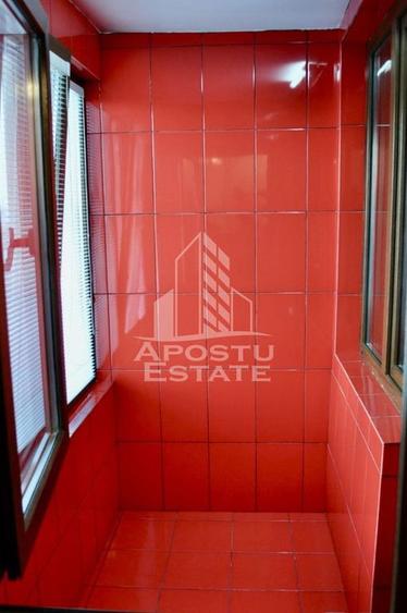 Apartament o camera, etaj intermediar si lift, Take Ionescu - 9
