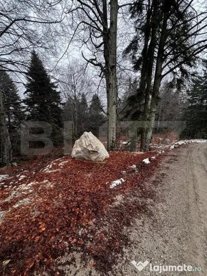 Teren de 4000 mp, în Calea Moroieni