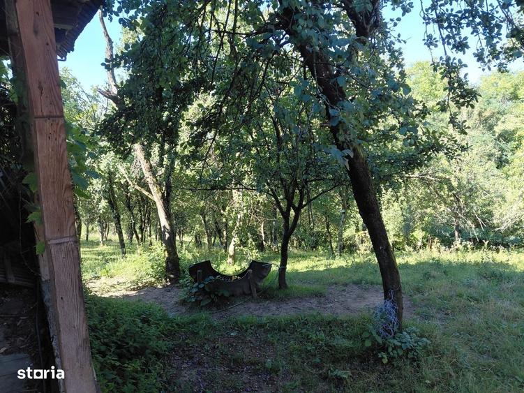 Casă cu 2 camere în Luncșoara