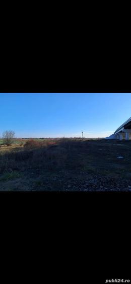 Teren de 5000 mp, în Balotești