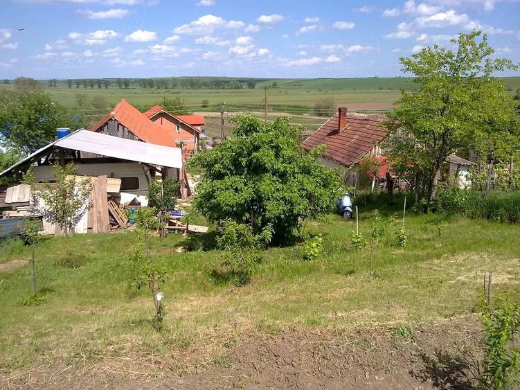 Casă cu Teren 1306 Mp în Murani