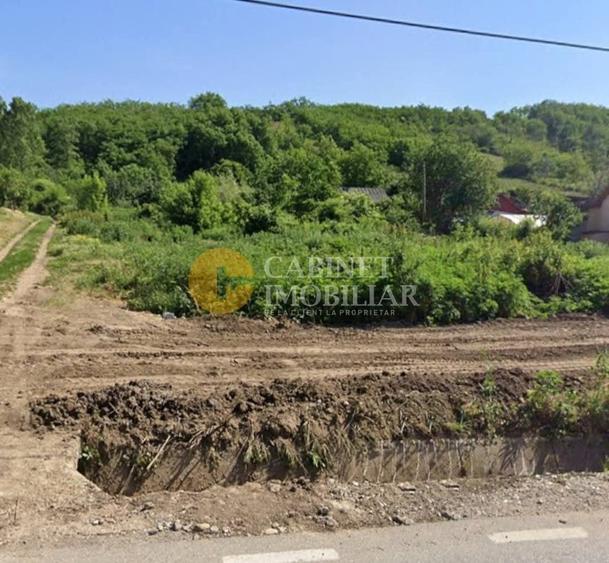 Teren Construcții de 2000 mp, în Răducăneni