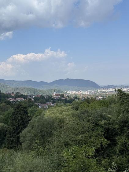 Teren intravilan deosebit, 572 mp, langa padure POT 40% Ideal rezidential, Strada Morii , Mun. Sacele - 4