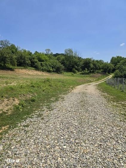 Teren de 650 mp, în Vlădești