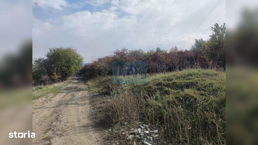 Teren de 2000 mp, în Făget