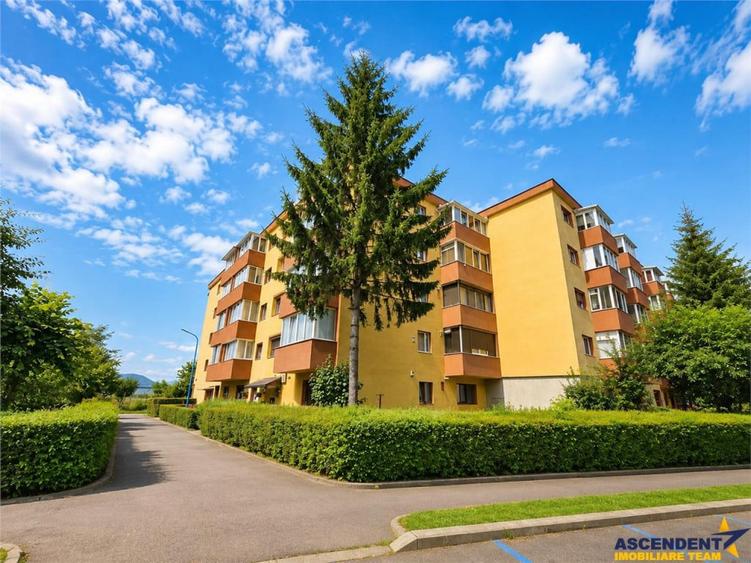 Apartament cu 3 camere decomandat în Triaj