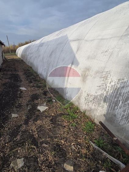 Teren agricol intravilan de 24732 mp, în Vest