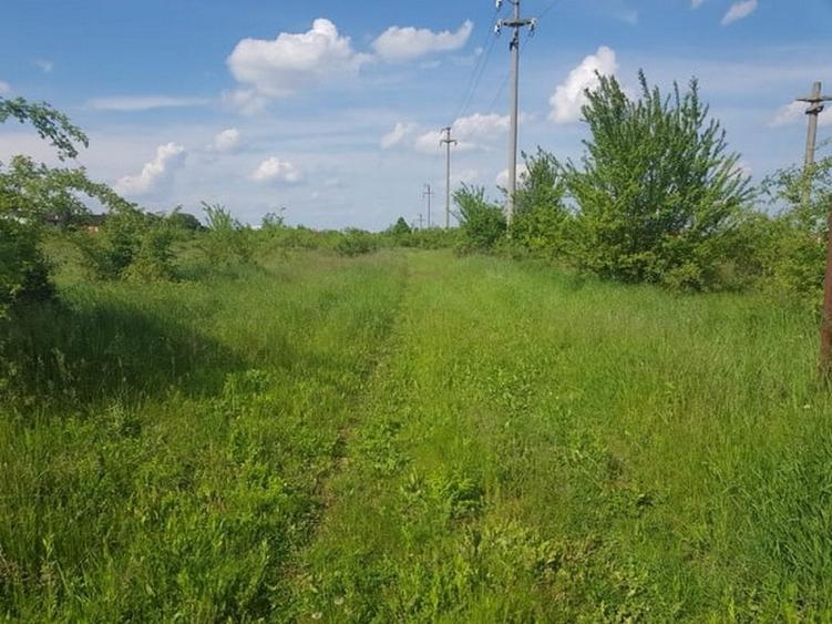 Teren Construcții intravilan de 3000 mp, în Ciolpani