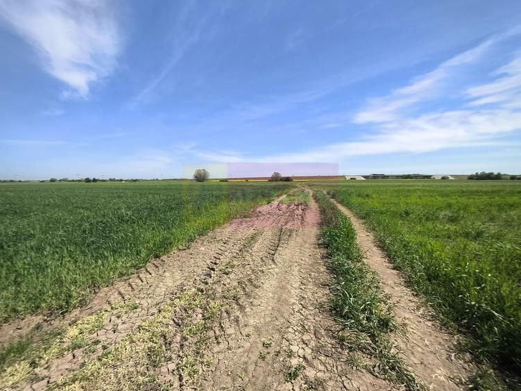 Teren Construcții intravilan de 2200 mp, în Dărăști-Ilfov