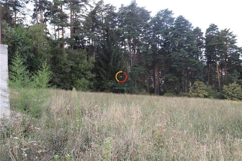 Teren Construcții intravilan de 1195 mp, în Babarunca