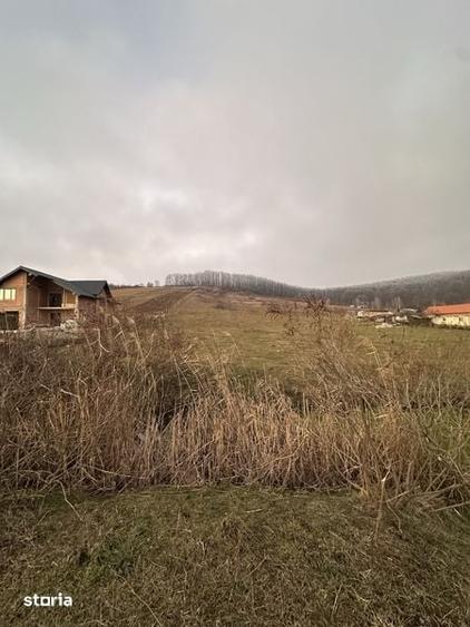 Teren de 5173 mp, în Mirșid
