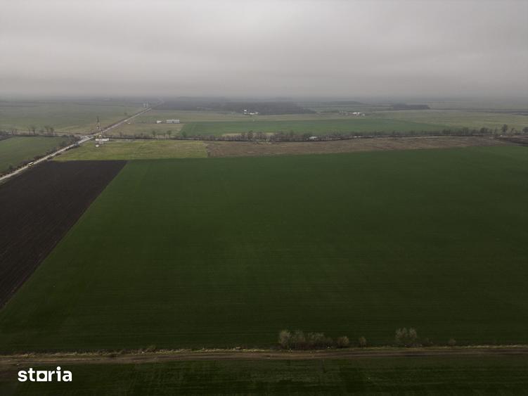 Teren de 84000 mp, în Central