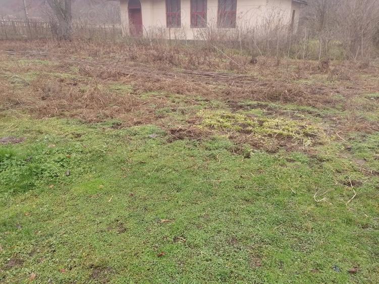 Casă cu Teren 2000 Mp în Central