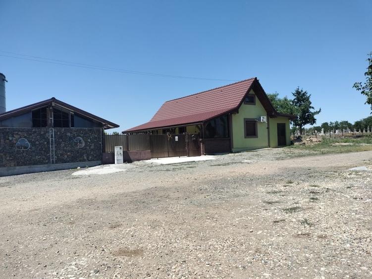Spațiu comercial, de 120 mp, în Fibiș