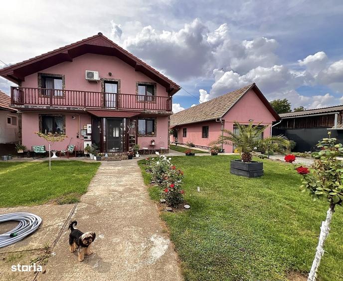 Casa de vanzare + casa mica - 3