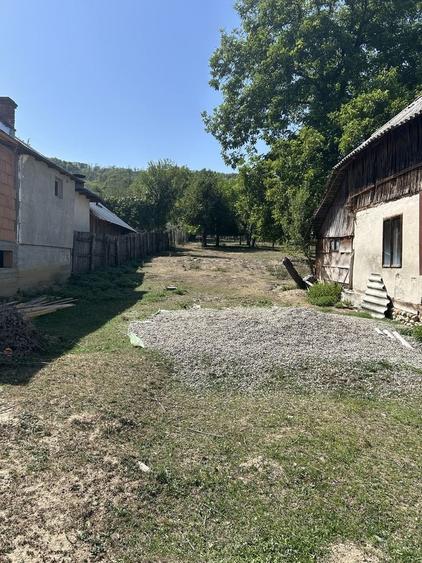 Casă cu 4 camere în Radu Negru