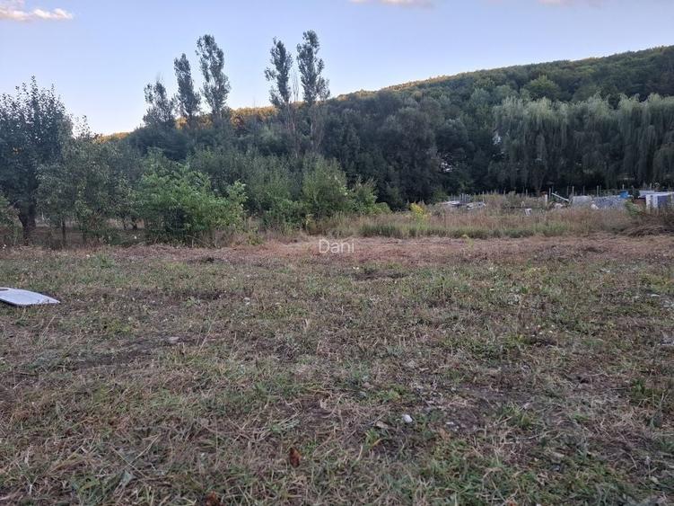 Vand teren pe Valea Capriorii