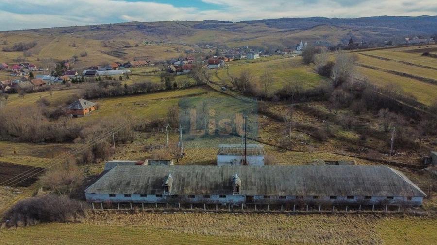 Teren Construcții intravilan de 7400 mp, în Păniceni