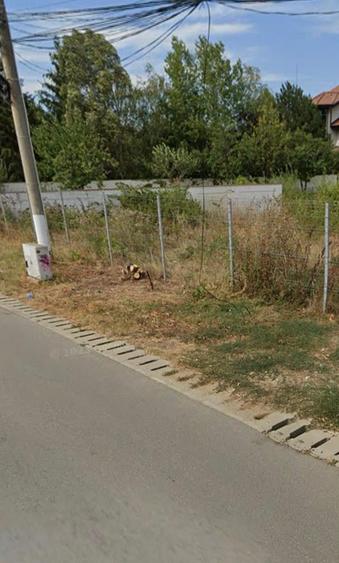 Teren Construcții intravilan de 2484 mp, în Corbeanca