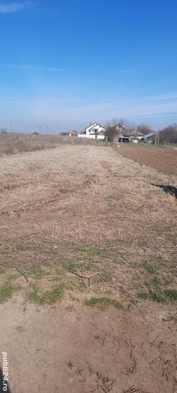 Vand teren intravilan - 8