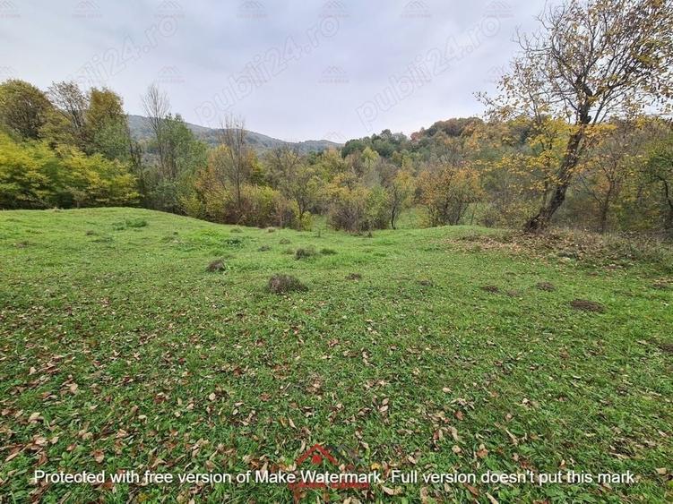 Teren intravilan in Provita de Jos 14.340 mp-- 90.000 e - 10