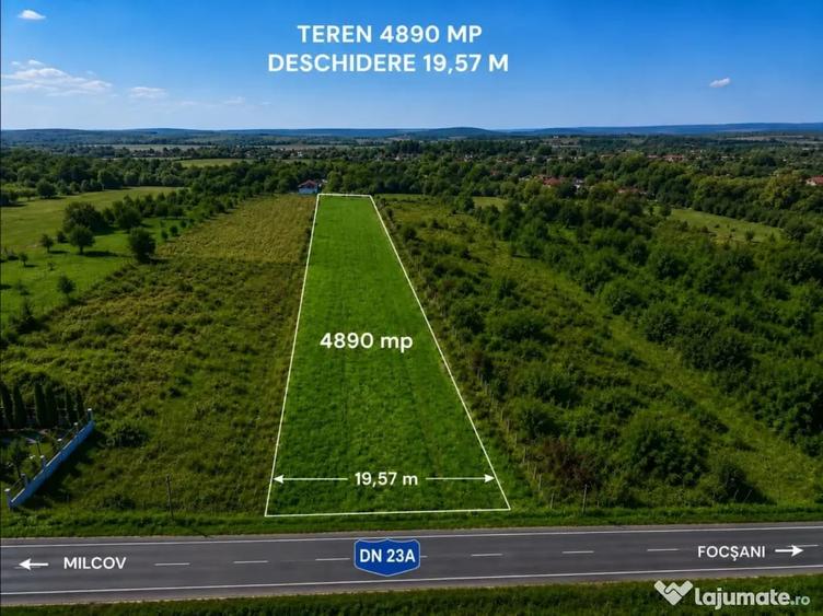 Teren de 10000 mp, în Lămotești