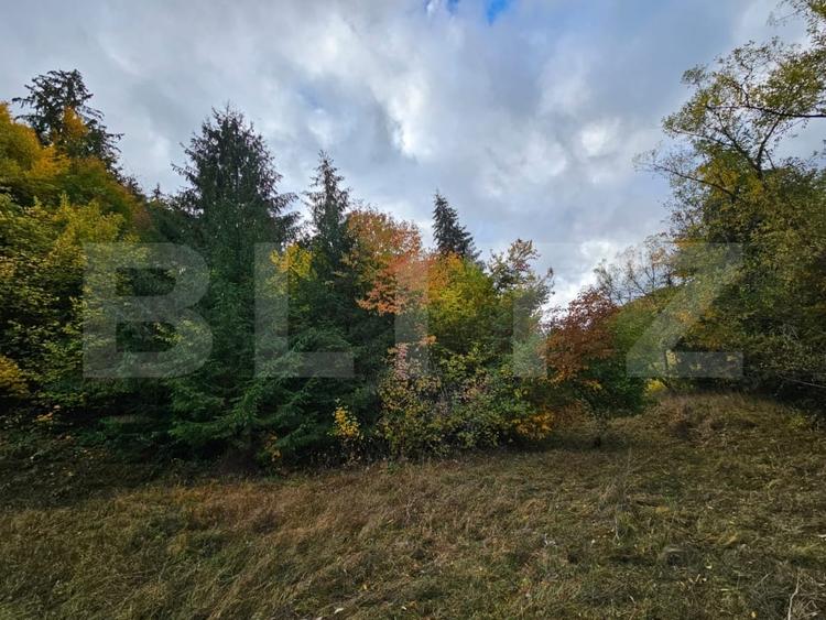 Teren Construcții extravilan de 2710 mp, în Nemeși