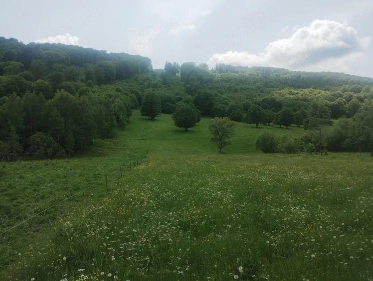 Teren de 5800 mp, în Scrădoasa