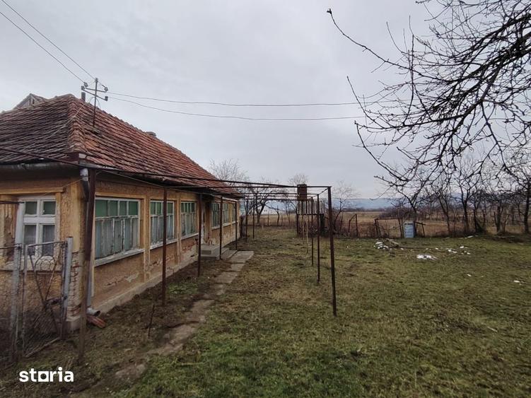Teren de 4000 mp, în Suplacu de Barcău