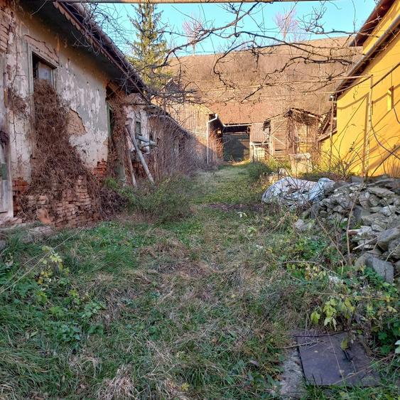 Casă cu 3 camere în Central