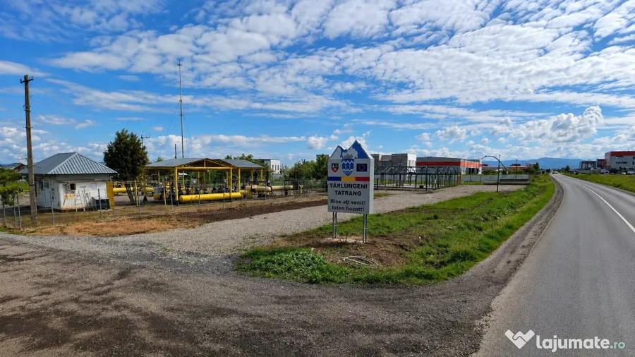 Teren în Tărlungeni