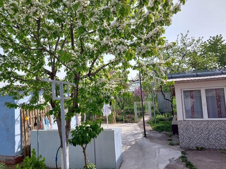 Casă cu 4 camere în Lehnești