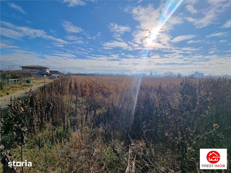 Teren de 3900 mp, în Sâncraiu de Mureș