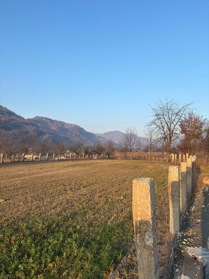 Teren agricol intravilan de 3111 mp, în Feldru