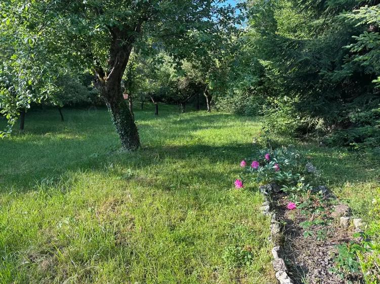 Casă cu 5 camere cu Teren 1600 Mp în Schei