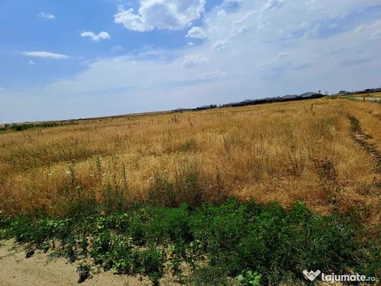 Teren de 415 mp, în Cârcea