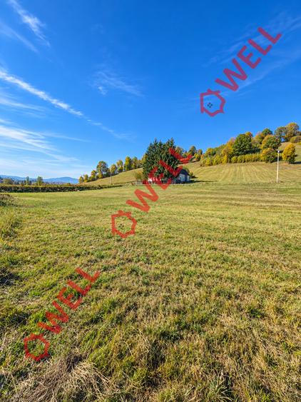 Teren intravilan de 2425 mp, în Barcani