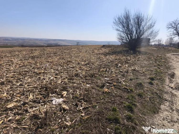 Teren de 6500 mp, în Grănicești