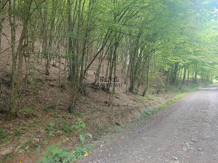 Teren de 3700 mp, în Bulzeștii de Sus