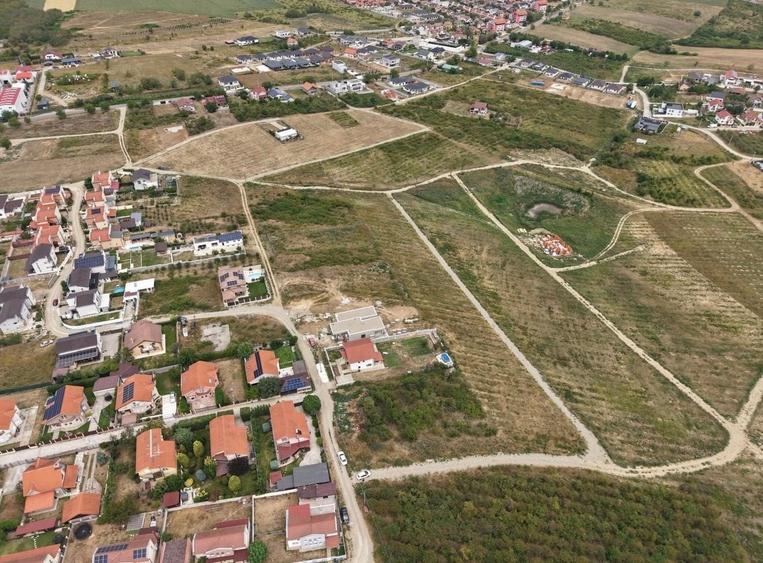 Teren intravilan in Paleu - 3