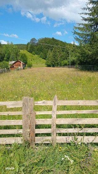Teren de 2700 mp, în Valea Doftanei